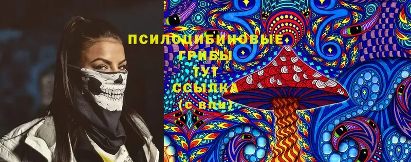 Галлюциногенные грибы Cubensis  Клин 